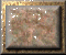 xm002859.gif