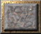 xm002855.gif