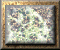 xm002854.gif