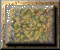 xm002849.gif
