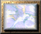 xm002846.gif