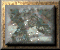 xm002845.gif
