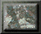 xm002838.gif