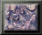 xm002837.gif