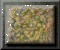 xm002835.gif