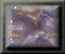 xm002832.gif