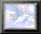 xm002825.gif