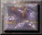 xm002816.gif