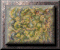 xm002814.gif