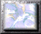 xm002809.gif