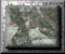 xm002806.gif