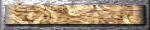 xm003841.gif