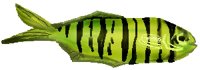 xm004505.gif