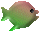 xm004358.gif