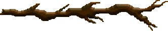 xm004573.gif