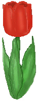 xm004801.gif