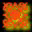 xm004922.gif