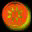 xm004919.gif