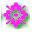 xm004913.gif