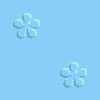 xm004862.gif