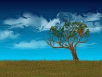 xm005490.gif