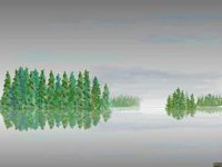 xm005369.gif