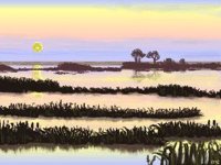 xm005205.gif