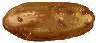 xm005615.gif