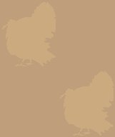 XX066405.gif