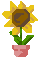XX066391.gif