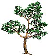 XX070347.gif