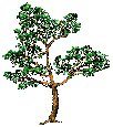 XX070346.gif