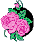 XX070343.gif