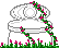 XX070323.gif