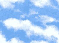 XX070307.gif