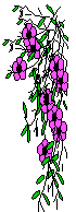 XX070300.gif