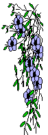 XX070299.gif