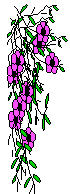 XX070298.gif
