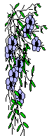 XX070297.gif