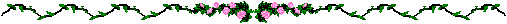 XX070295.gif