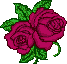 XX070290.gif