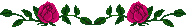 XX070284.gif