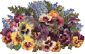 XX070280.gif