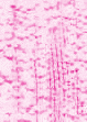 XX070263.gif