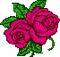 XX070258.gif