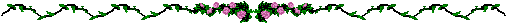 XX070253.gif