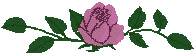 XX070252.gif