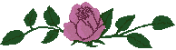XX070251.gif