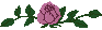 XX070246.gif