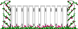 XX070183.gif